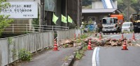 日本发生6.6级地震 至少8人受伤