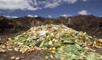 调查显示新西兰人每年扔掉价值31亿纽币的食物，这两类人是罪魁祸首
